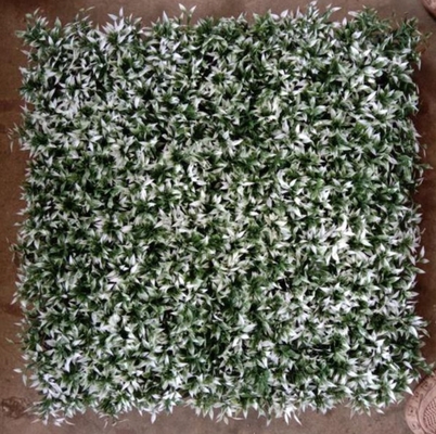 Kunstgras voor de muur om de esthetiek van uw gebouw te vergroten Met 50cm*50cm grootte De perfecte buitenoplossing
