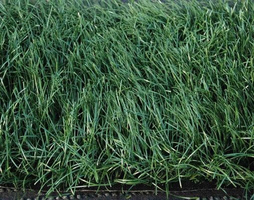 140 steken/m Kunstmatige sportgras met 32 mm stapelhoogte voor landschapsontwerp en tuinbouw