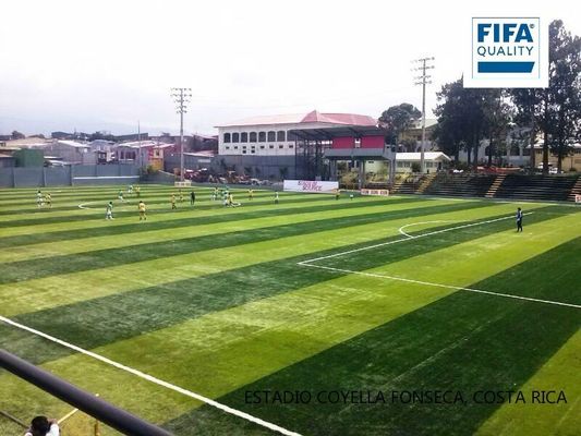 FIFA-gecertificeerd 55 mm hoog kunstgras met hoge dichtheid voor voetbalbanen met weinig onderhoud