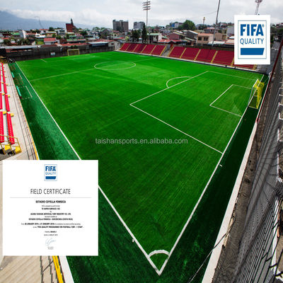 Groen voetbalkunstgras met 5/8" PP+LENO-rug en SBR-latexcoating
