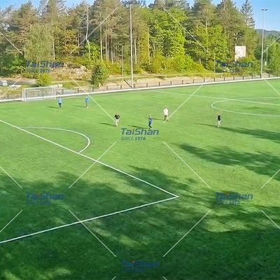 200 Steken/M Kunstgras voor Tennis met 20 mm poolhoogte in Duurzaam Polyethyleen Materiaal