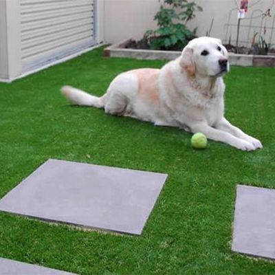 35mm Poolhoogte 9600 Dtex Kunstgras voor Buitenactiviteiten voor Groothandelaren en Distributeurs