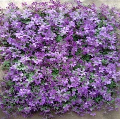 50cm*50cm Grootte Kunstmatig wandgras Sterk duurzaamheid Snelle drainage Voor decoratie en versiering
