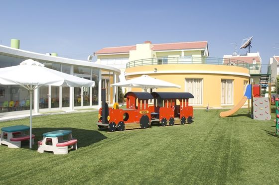 25 mm Pile Height Hybrid kunstgras tapijt met ultra hoge slijtvastheid voor gemengd leggen met natuurlijk gras