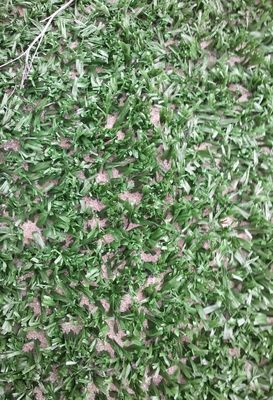 14 mm Pile Height High Density UV Resistant Tennis Kunstgras voor buitensporten