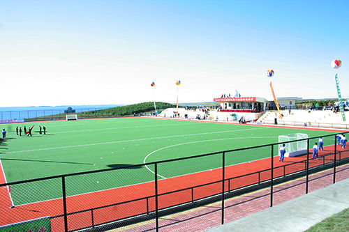 Hoge Dichtheid 18mm Dikte Kunstgras met Grote UV-bestendigheid voor Golf en Hockey
