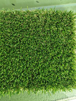 Non-infill kunstgras met 30 mm poolhoogte en transparante latexlijm voor sportgras 12400 Dtex Onderhoudsarm