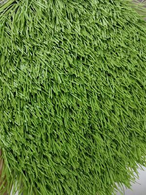 50mm Sport Kunstgras Voetbal Voetbal Honkbal Sportstadions Speeltuinen UV-bestendig Onderhoudsarm