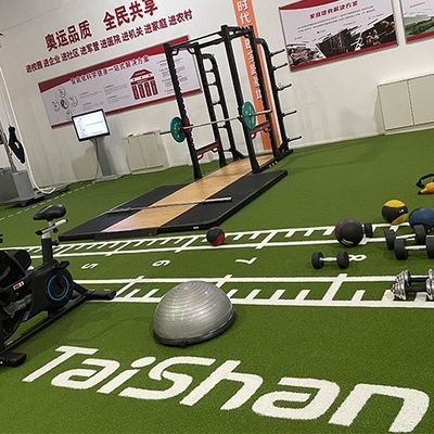 19 mm Pile Height UV Resistant Pattern Artificial Grass White Line voor gym en golf met niet-invullende installatie