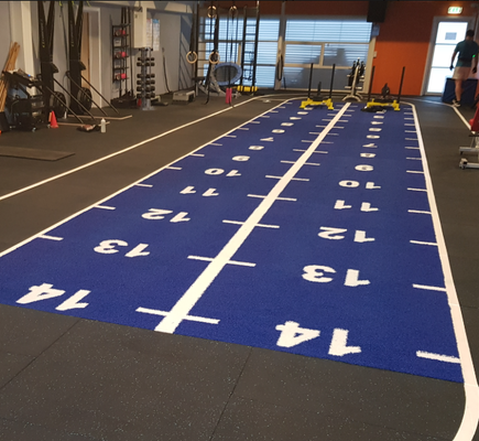 16 mm Pile Height Sled Turf met aangepast kleurpatroon en UV-weerstand voor fitness