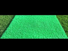 Taishan Nylon Nieuwe producten