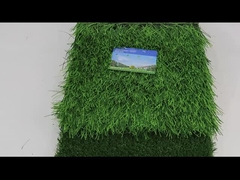 Voetbal Kunstmatig Gras