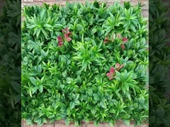 2025 Nieuw Taishan Muurgrasleverancier