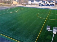 FIFA-gecertificeerd voetbalgras