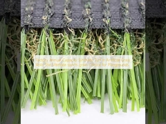 Fabriek Jaarcapaciteit Kunstgras in kunstgras rollen De ultieme sportgras keuze voor speeltuinen