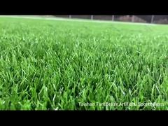 Taishan nieuw project Belize Kunstgras Sportveld